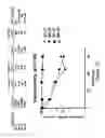 Fig. 14 - BIOLOGICALLY ACTIVE PEPTIDOMIMETIC MACROCYCLES