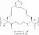 Fig. 145 - BIOLOGICALLY ACTIVE PEPTIDOMIMETIC MACROCYCLES
