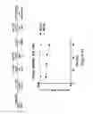 Fig. 15 - BIOLOGICALLY ACTIVE PEPTIDOMIMETIC MACROCYCLES