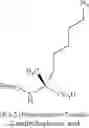 Fig. 79 - BIOLOGICALLY ACTIVE PEPTIDOMIMETIC MACROCYCLES