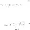 Fig. 37 - Photosensitive azobenzene derivative
