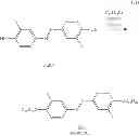 Fig. 57 - Photosensitive azobenzene derivative