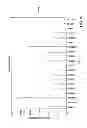 Fig. 28 - NUCLEIC ACIDS ENCODING RECEPTOR FOR IL-17 HOMOLOGOUS POLYPEPTIDES AND USES THEREOF
