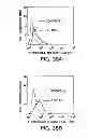 Fig. 41 - NUCLEIC ACIDS ENCODING RECEPTOR FOR IL-17 HOMOLOGOUS POLYPEPTIDES AND USES THEREOF