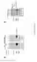 Fig. 06 - Soluble endoglin and uses thereof