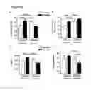 Fig. 08 - Soluble endoglin and uses thereof