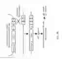 Fig. 11 - Soluble endoglin and uses thereof