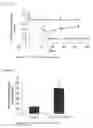 Fig. 11 - OLIGONUCLEOTIDE AND THERAPEUTIC AGENT FOR HYPERLIPIDEMIA CONTAINING SAME AS ACTIVE INGREDIENT