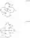 Fig. 22 - Methods for preparing functional tetraazacycloalkane compounds using a specific cyclic bisaminal compound