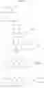 Fig. 148 - Methods for synthesizing molybdopterin precursor Z derivatives