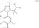 Fig. 43 - PYRUVATE KINASE M2 MODULATORS, THERAPEUTIC COMPOSITIONS AND RELATED METHODS OF USE
