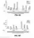 Fig. 07 - Lipidated imidazoquinoline derivatives