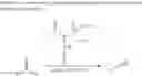 Fig. 19 - Process for preparation of (3)-2,4-di-leaving group-3-methylbut-1-ene
