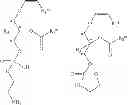 Fig. 02 - Methods for the synthesis of 13C labeled plasmalogen