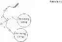 Fig. 09 - Methods for the synthesis of 13C labeled plasmalogen