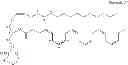 Fig. 19 - Methods for the synthesis of 13C labeled plasmalogen