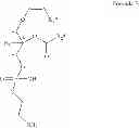 Fig. 20 - Methods for the synthesis of 13C labeled plasmalogen