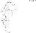 Fig. 23 - Methods for the synthesis of 13C labeled plasmalogen