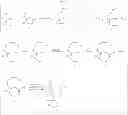 Fig. 26 - Methods for the synthesis of 13C labeled plasmalogen