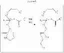 Fig. 27 - Methods for the synthesis of 13C labeled plasmalogen