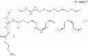 Fig. 28 - Methods for the synthesis of 13C labeled plasmalogen