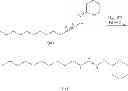 Fig. 34 - Methods for the synthesis of 13C labeled plasmalogen