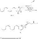 Fig. 47 - Methods for the synthesis of 13C labeled plasmalogen