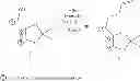 Fig. 51 - Methods for the synthesis of 13C labeled plasmalogen