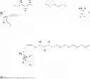 Fig. 55 - Methods for the synthesis of 13C labeled plasmalogen