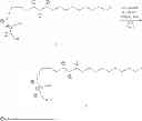 Fig. 56 - Methods for the synthesis of 13C labeled plasmalogen