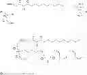 Fig. 57 - Methods for the synthesis of 13C labeled plasmalogen
