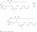 Fig. 58 - Methods for the synthesis of 13C labeled plasmalogen