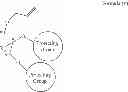 Fig. 66 - Methods for the synthesis of 13C labeled plasmalogen
