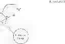 Fig. 69 - Methods for the synthesis of 13C labeled plasmalogen