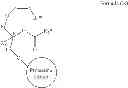 Fig. 70 - Methods for the synthesis of 13C labeled plasmalogen