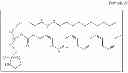 Fig. 75 - Methods for the synthesis of 13C labeled plasmalogen