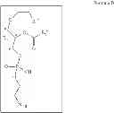 Fig. 78 - Methods for the synthesis of 13C labeled plasmalogen