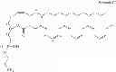 Fig. 79 - Methods for the synthesis of 13C labeled plasmalogen