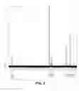 Fig. 04 - Biosurfactant Isolated from Yeast