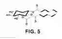 Fig. 06 - Biosurfactant Isolated from Yeast