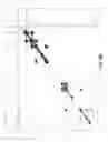 Fig. 37 - Biosurfactant Isolated from Yeast