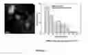 Fig. 04 - CATALYST COMPOSITE FOR DEHYDROGENATION OF HYDROCARBONS AND METHOD OF PREPARATION THEREOF