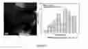 Fig. 05 - CATALYST COMPOSITE FOR DEHYDROGENATION OF HYDROCARBONS AND METHOD OF PREPARATION THEREOF