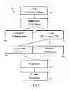 Fig. 02 - Methods and Systems for Improving the Prevention of Colorectal Cancer