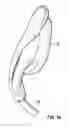 Fig. 24 - Laryngeal mask for use with an endoscope