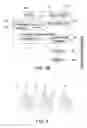 Fig. 06 - User Identification method, physiological detection device and physiological detection method