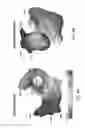Fig. 08 - Systems and methods for noninvasive spectral-spatiotemporal imaging of cardiac electrical activity