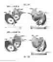 Fig. 09 - Systems and methods for noninvasive spectral-spatiotemporal imaging of cardiac electrical activity