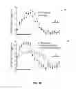 Fig. 07 - Optogenetic magnetic resonance imaging