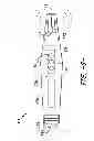 Fig. 06 - Enhanced ultrasound device and methods of using same